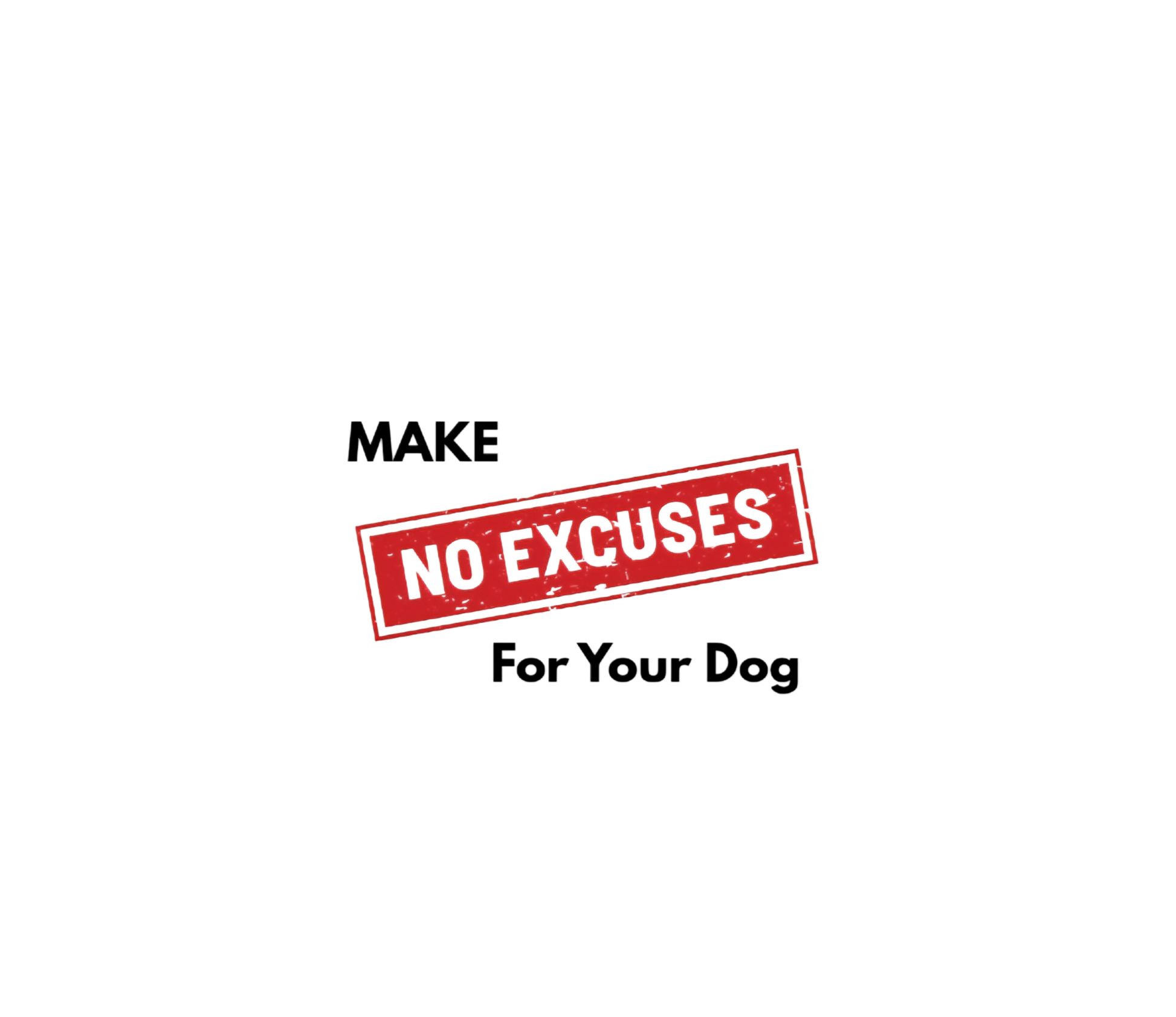 Make no Excuses