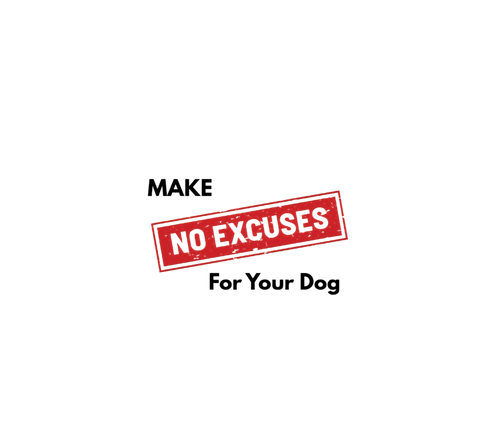 Make no Excuses