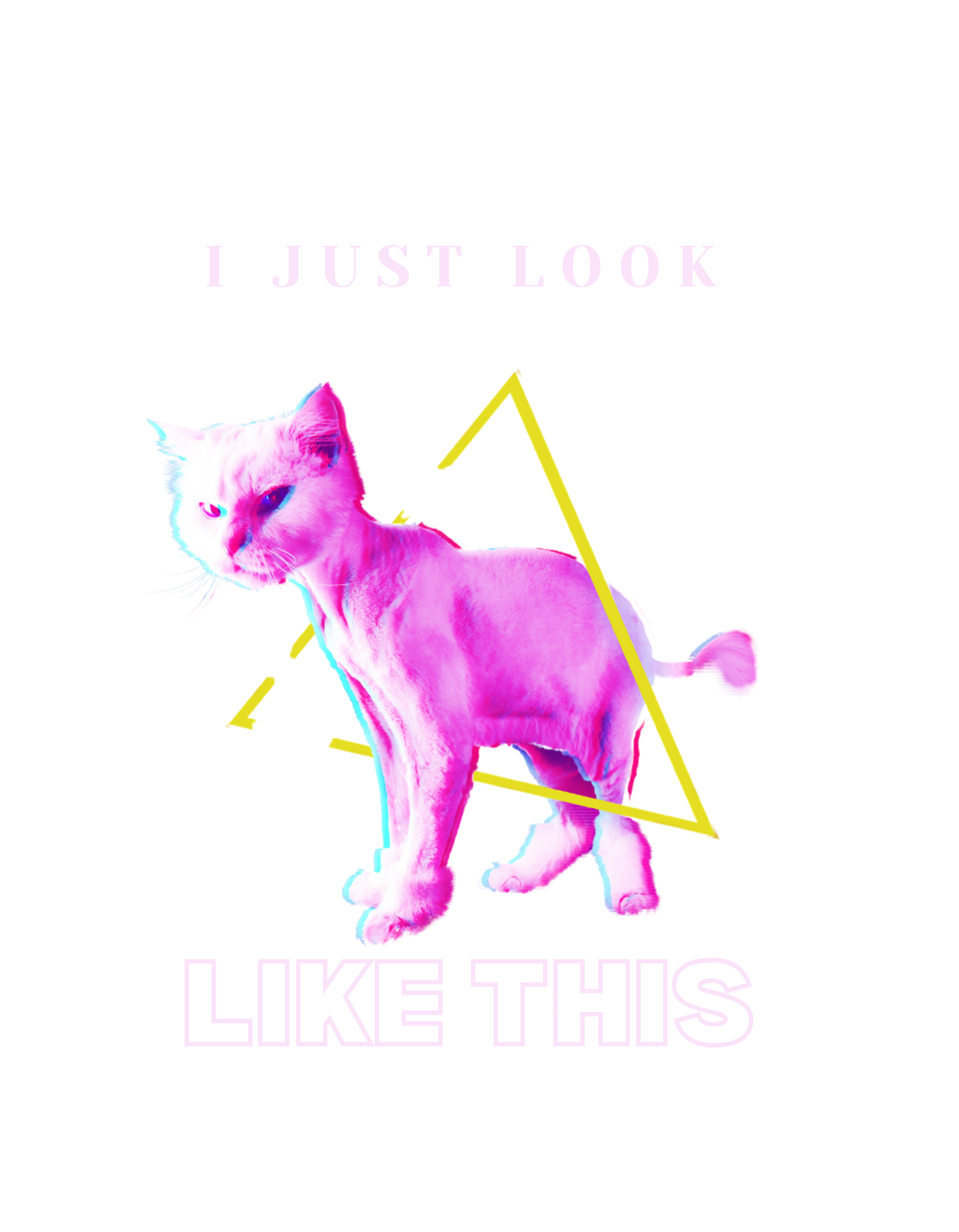 All Ten Bullies "I just look like this" t-shirt