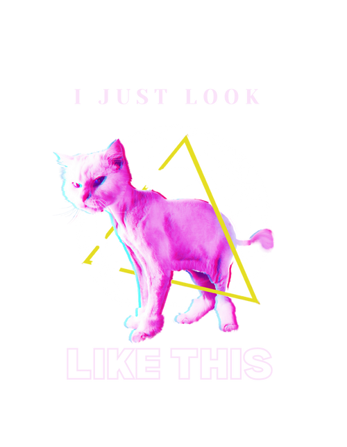 All Ten Bullies "I just look like this" t-shirt